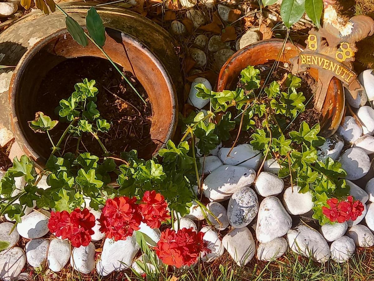 مبيت وإفطار باغنوريغيو Fili D'Erba المظهر الخارجي الصورة