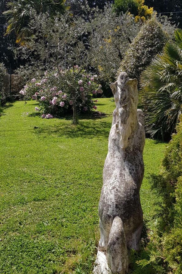مبيت وإفطار باغنوريغيو Fili D'Erba المظهر الخارجي الصورة
